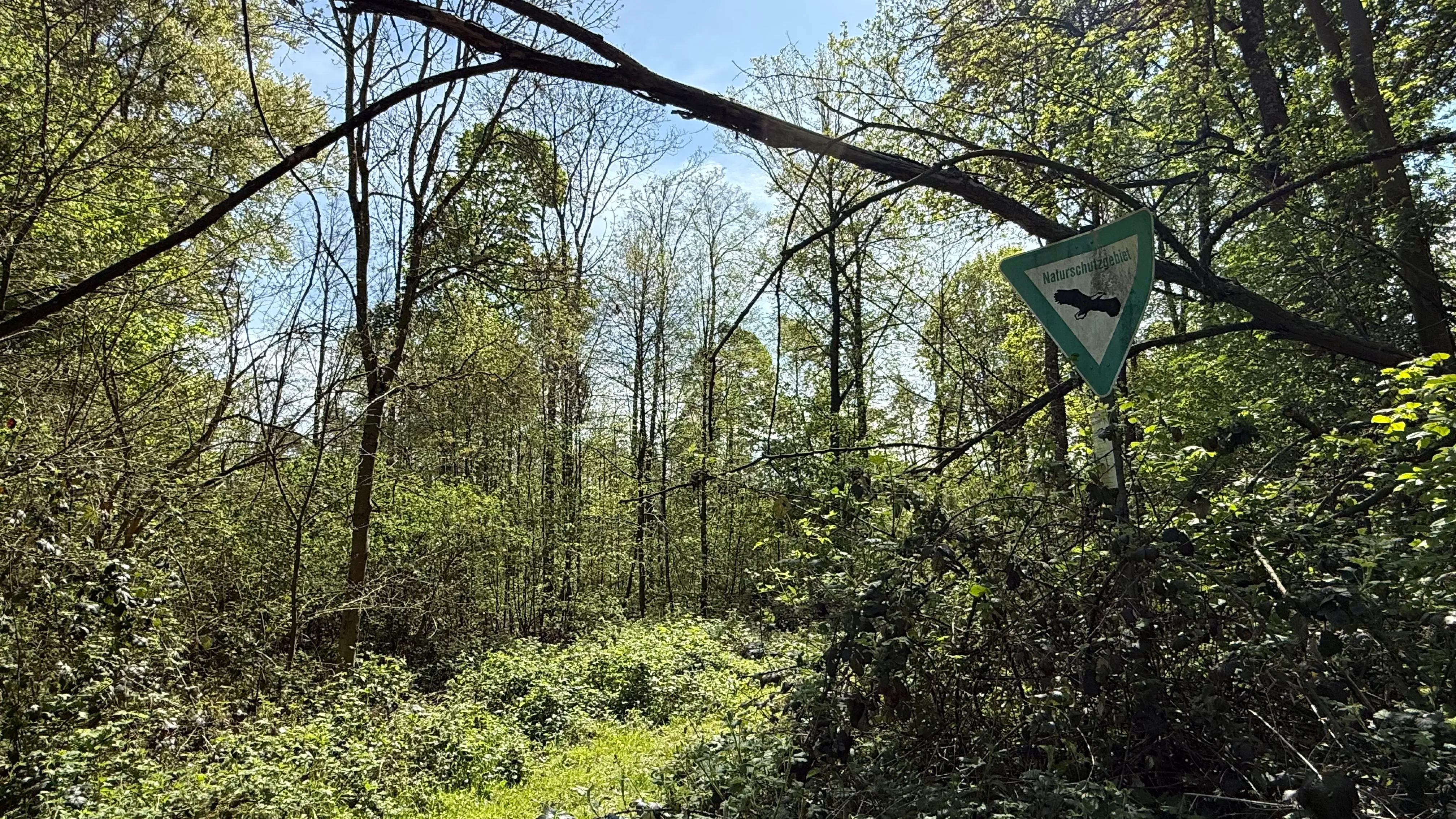 Naturschutzgebiet Ententeich